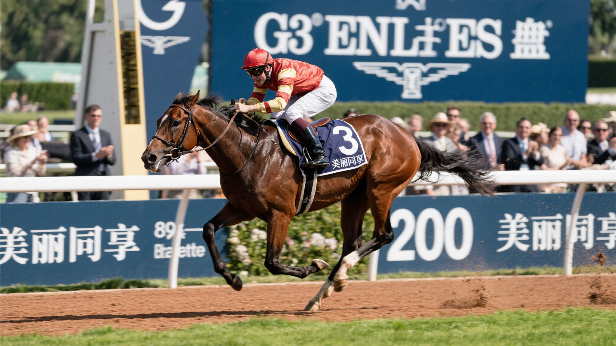 八岁战驹美丽同享绝尘而出,冲刺问鼎G3精英碟赛四冠王 在万众瞩目的G3精英碟赛事中,一匹名为"美丽同享"